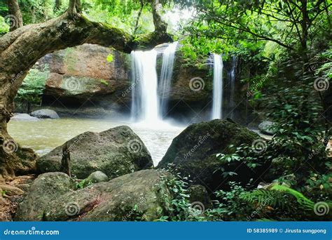 The Trees And Waterfall Stock Image Image Of Green 58385989