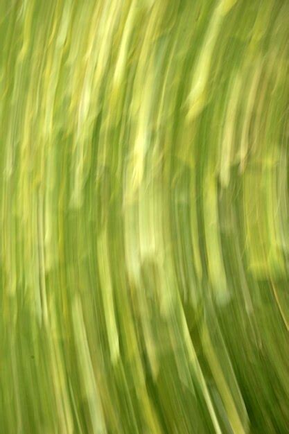 Premium Photo Abstract Motion Blur Effect Spring Blurred Flowers