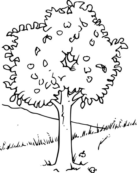Une fiche pratique pour suivre la chronologie familiale d'un couple gratuit. Coloriage arbre printemps à imprimer