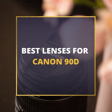 📸 5 Must Own Lenses For Canon 90d In 2024 Guide