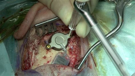 Simple Science: How to Make a Volcano with Kids