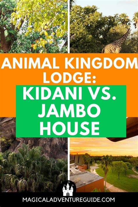 Kidani Village Vs Jambo House Which Animal Kingdom Resort Is Best