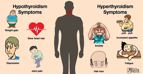 Symptoms Of Thyroid Problems In Men And How To Treat Them Thyroid