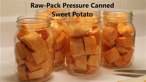 Raw Pack Pressure Canning Sweet Potatoes Youtube
