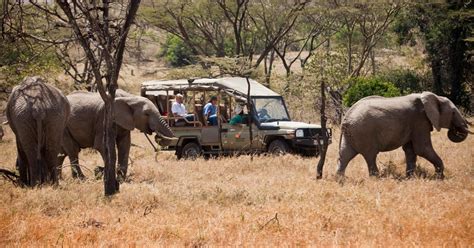 3 Day Maasai Mara Luxury Safari Experience Kenya By Air Getyourguide