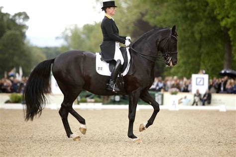 One of the most successful equestrian dressage riders in history, isabell werth won 10 olympic medals. Wiesbaden: Zwölfter Grand Prix Special-Sieg beim ...