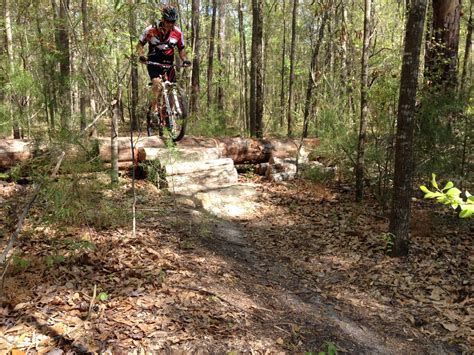 Donate to the park the flat rock park and recreation foundation, inc. Flat Rock Park Mountain Bike Trail in Columbus, Georgia ...