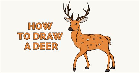 Https://tommynaija.com/draw/how To Draw A Deer Easy