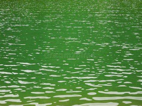 Green Lake Water Stock Photo Image Of Nature Emerald 93227074