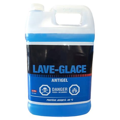 Lave-glace hiver 3,78 litres - DSP Activité