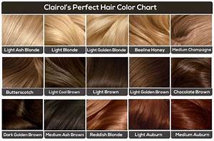 New Hairstyle 2014 Medium Golden Brown Hair Color Chart Pictures