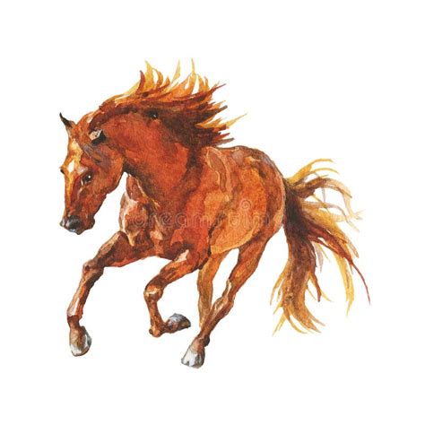 Watercolor Running Horse Stock Illustration Illustration Of Hooves