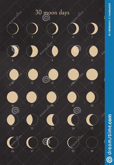 Lunar Phases Icon Set Moon Phases In The Night Starry Sky Shape Of