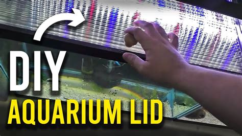 Diy Aquarium Lid Fish Tank Top Covers Made Out Of Polycarbonate