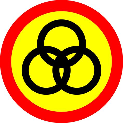 Partai tersebut didirikan pada 1959 yang umumnya oleh sayap kiri dan tionghoa kelas pekerja yang beberapa diantaranya berlatar belakang gerakan komunis di sarawak. Sarawak United Peoples' Party - Wikipedia