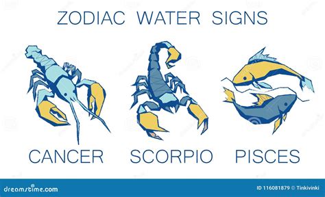 Collection Of Zodiac Signs Vector Illustration Of Water Zodiacal