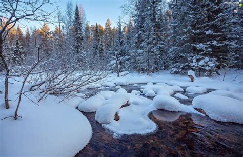 Forest Winter Viewes River Trees Snowy For Phone Wallpapers