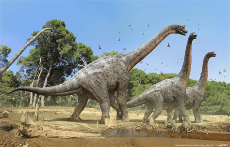 Dinosaur Blog