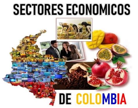 Sectores Economicos De Colombia Tierra Colombiana