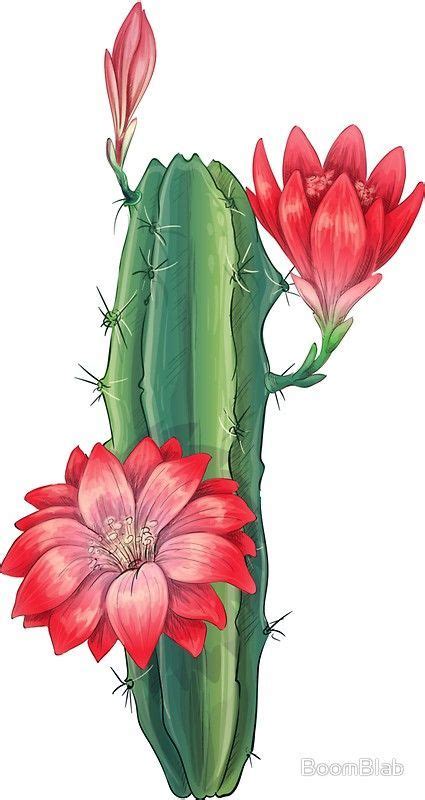 Pin By Bahar On Best Cactus Flower Flower Drawing Cactus Flower