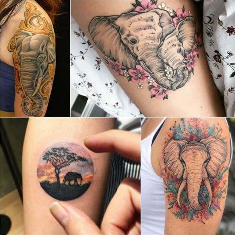 Elephant Tattoo Designs Most Popular Elephant Tattoos With Meaning