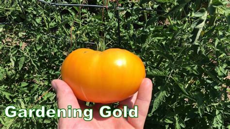 Gardening Gold - YouTube