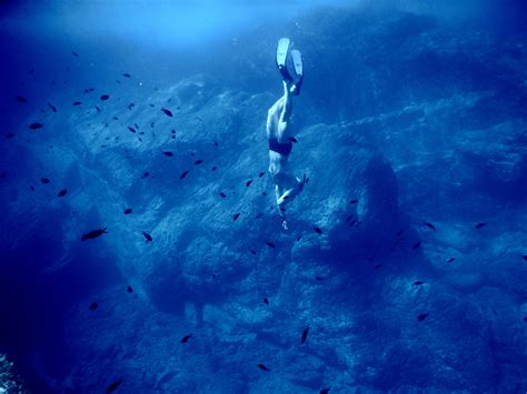 Immagini Belle Oceano Immersione Sottacqua Blu Pinna Nuoto