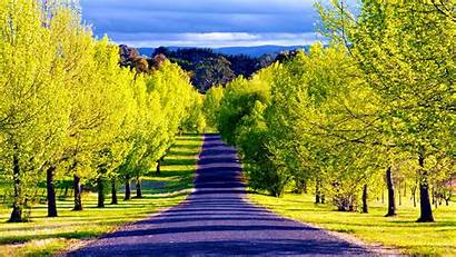 Most Wallpapers Scenic Places Wallpapersafari Pathway