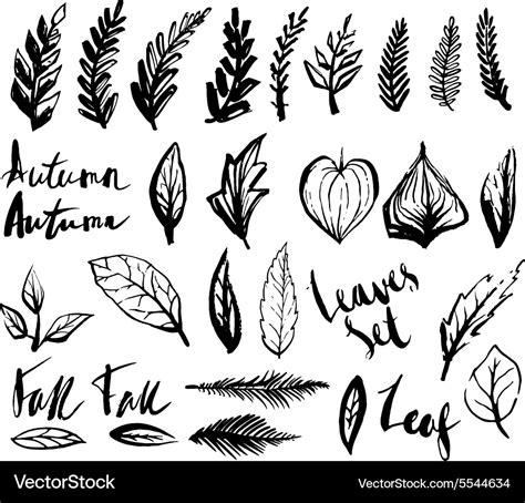 Doodle Leaves Set Royalty Free Vector Image Vectorstock