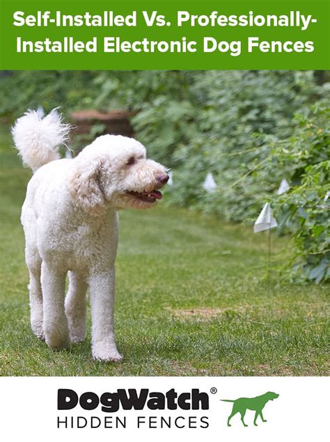 An invisible dog fence, also called an electric fence, is a wired fence placed underground. Are you trying to decide between a do-it-yourself electronic dog fence system and one that is ...