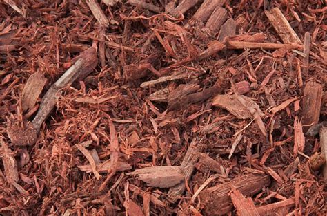 Western Red Cedar Natural Mulch Mavroff Inc