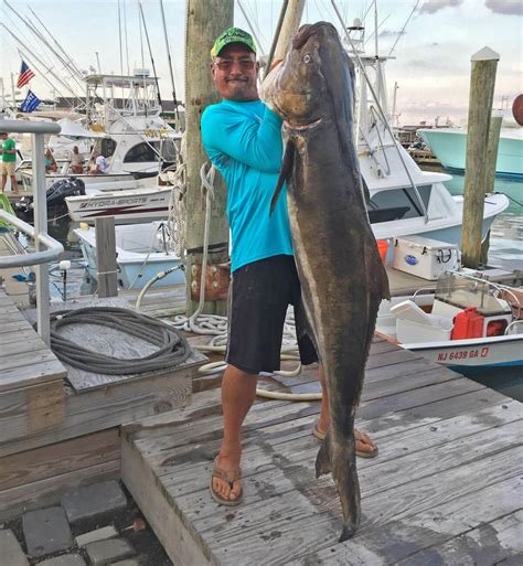 NJDEP| Fish & Wildlife | Highlights and Photos of NJ State Record