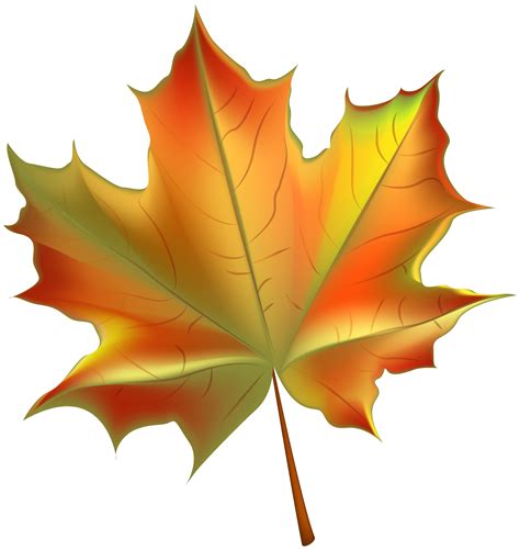 Beautiful Autumn Leaf Transparent Png Clip Art Image Gallery