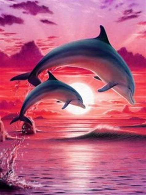 Pin By David Judd On Animal Kingdom Dolphin Art Dolphin Painting