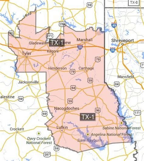 This Is How Efficiently Republicans Have Gerrymandered Texas Congressional Districts
