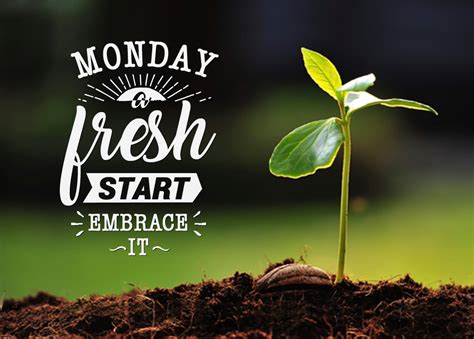 Its Monday Again Fresh Start Of The Day And The Year Have A Great