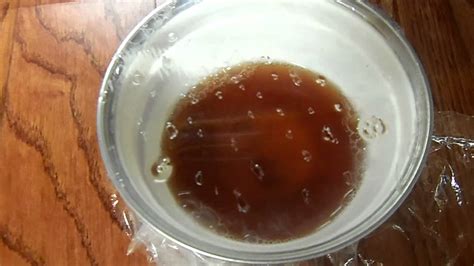Jan 29, 2020 · within a few days, you should notice an accumulation of dead fruit flies floating in the vinegar. How to get rid of fruit flies....vinegar and soap only ...