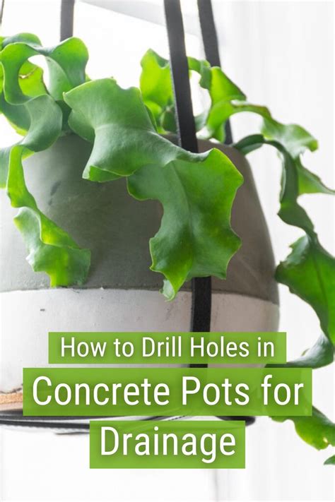 Drill Drainage Holes In A Concrete Pot Everything You Need To Know In