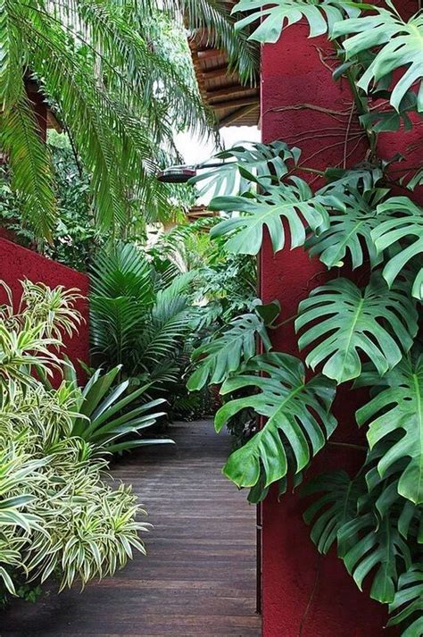 43 Beautiful Tropical Front Yard Landscape Ideas For Your Home 38