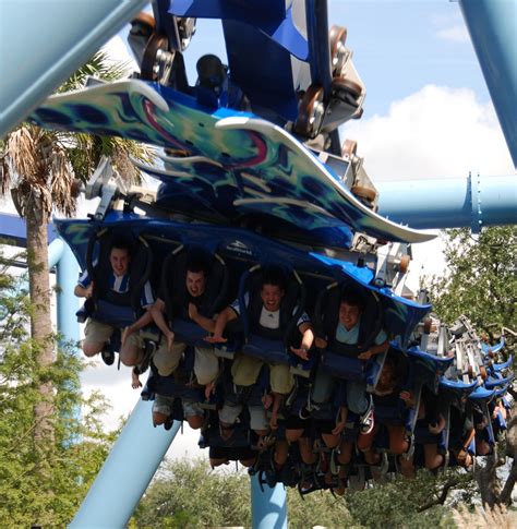Manta Roller Coaster At Seaworld In Orlando Florida Disneyland