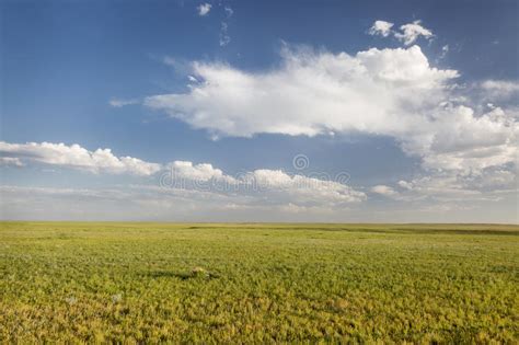 Grass In Colorado Foothills Of Rocky Mountains Stock Photo Image Of
