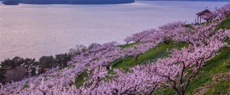 The best time to travel to japan : Japan Public Holidays 2022 - PublicHolidays.jp