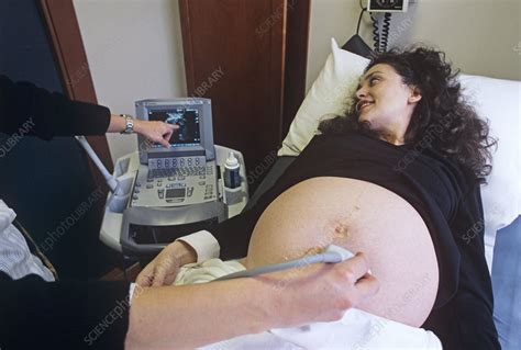 pregnancy ultrasound scan stock image m406 0290 science photo library