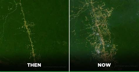 Amazon Rainforest Then Vs Now Comparison Part 1