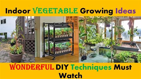 Diy Indoor Vegetable Growing Ideas Indoor Vegetable Garden Indoor