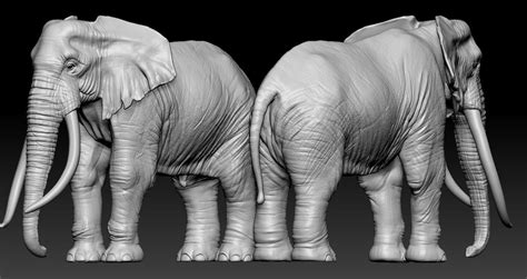 Elephant African 3d Model 3d Printable Cgtrader