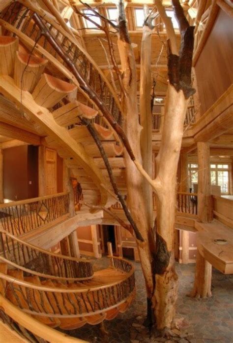 Gorgeous Cool Tree House Interior Tree Houses Pinterest