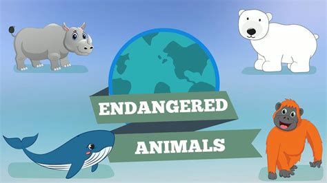 4 Ways You Can Help Endangered Animals Reality Paper