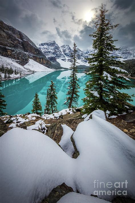Moraine Lake In Winter Photograph By Inge Johnsson