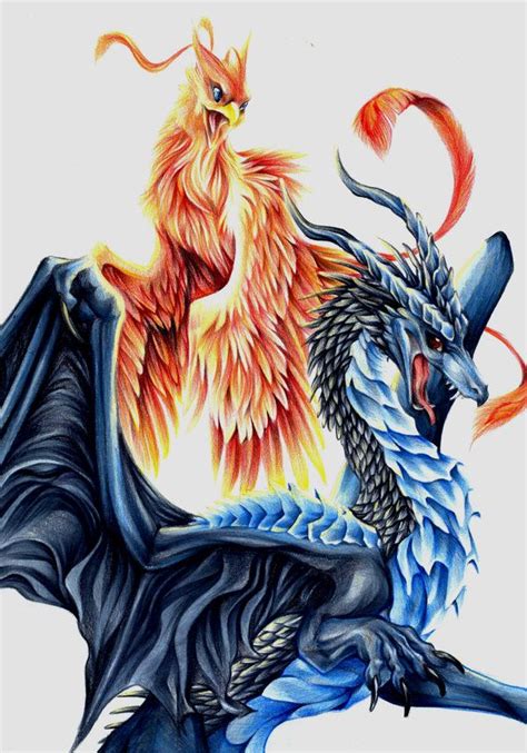 Combination Phoenix Dragon Phoenix Art Magical Creatures Fantasy